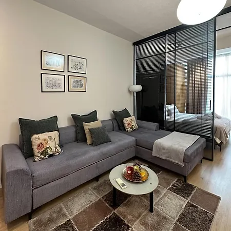 Kika Shanti, Near Artificial Daire