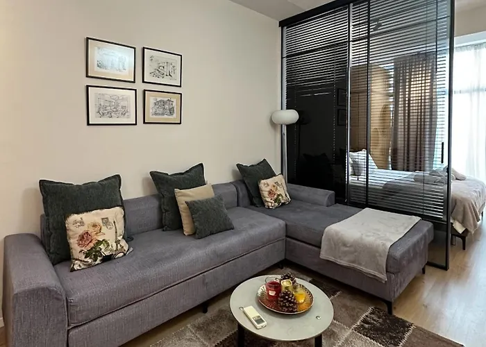 Kika Shanti, Near Artificial Daire