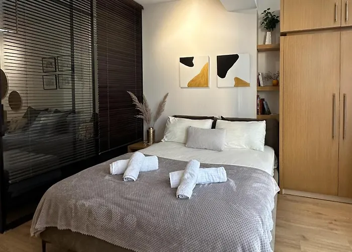 Kika Shanti, Near Artificial Daire